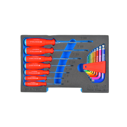 PB Swisstools Schraubenzieher Torx mit Werkzeugeinlage 
